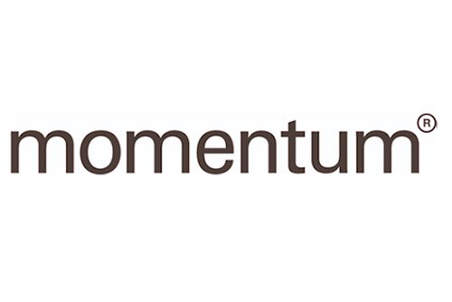 Momentum logo